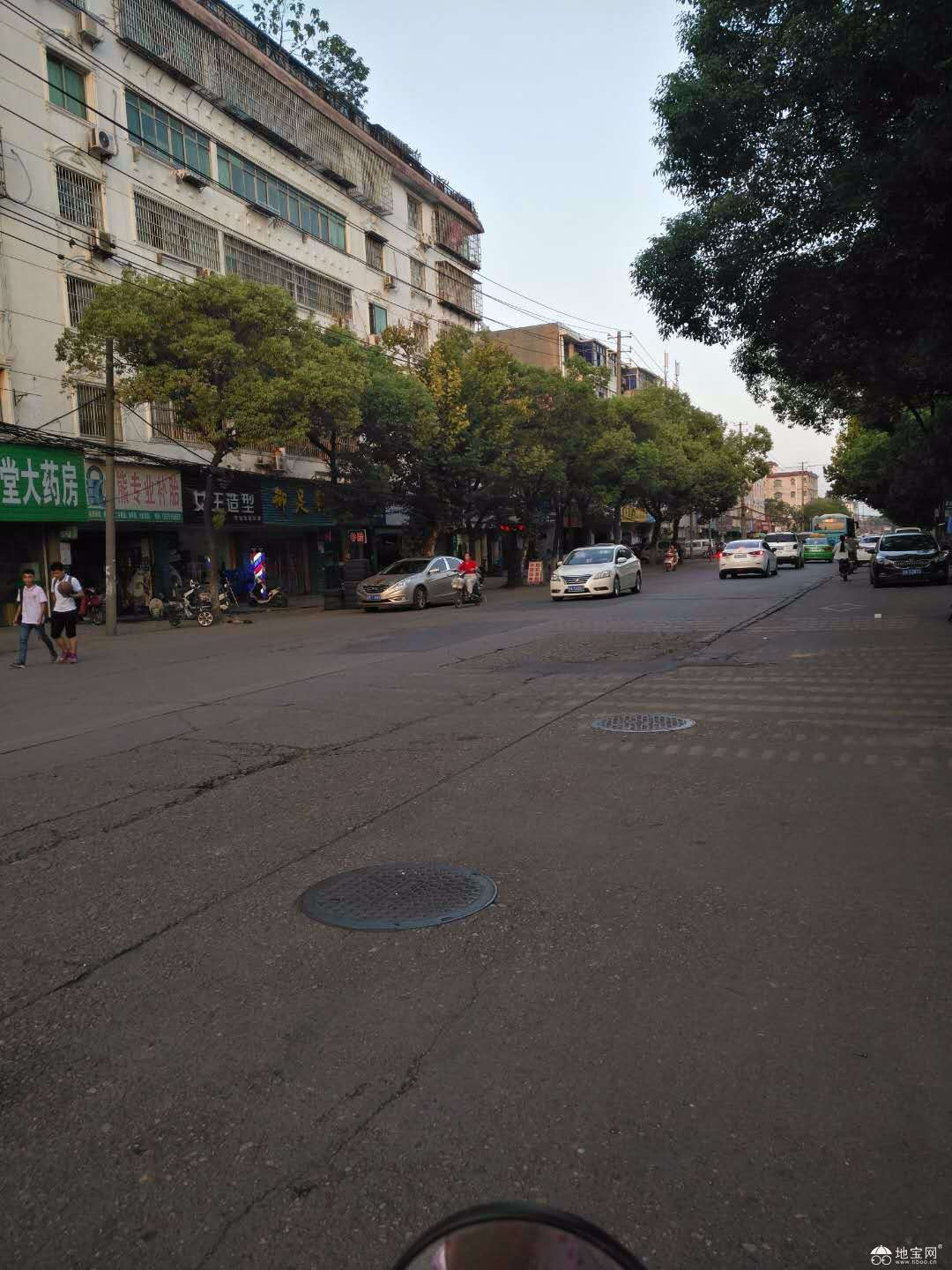 点击放大
