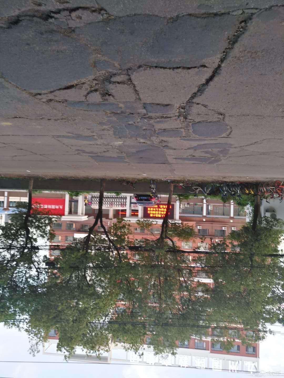 点击放大