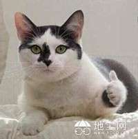 点击放大