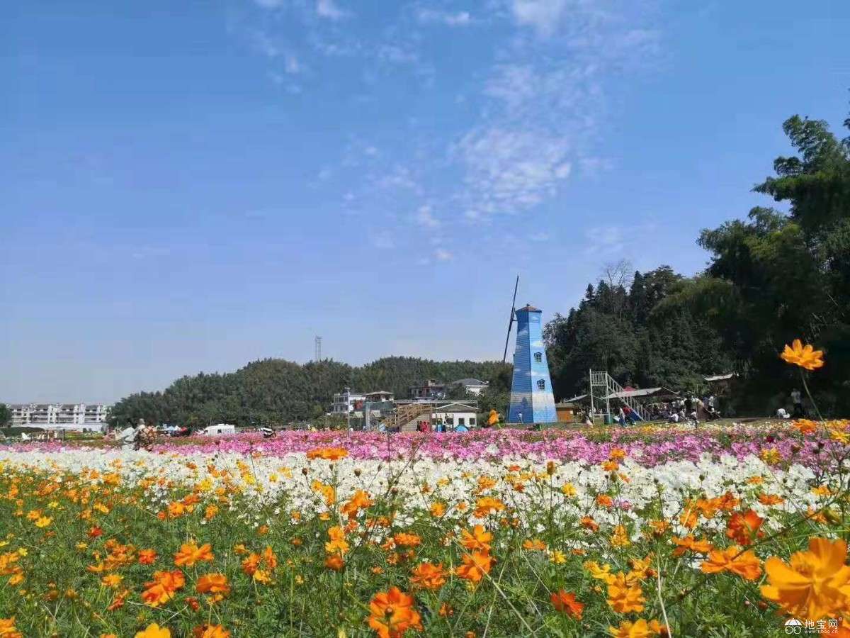 点击放大