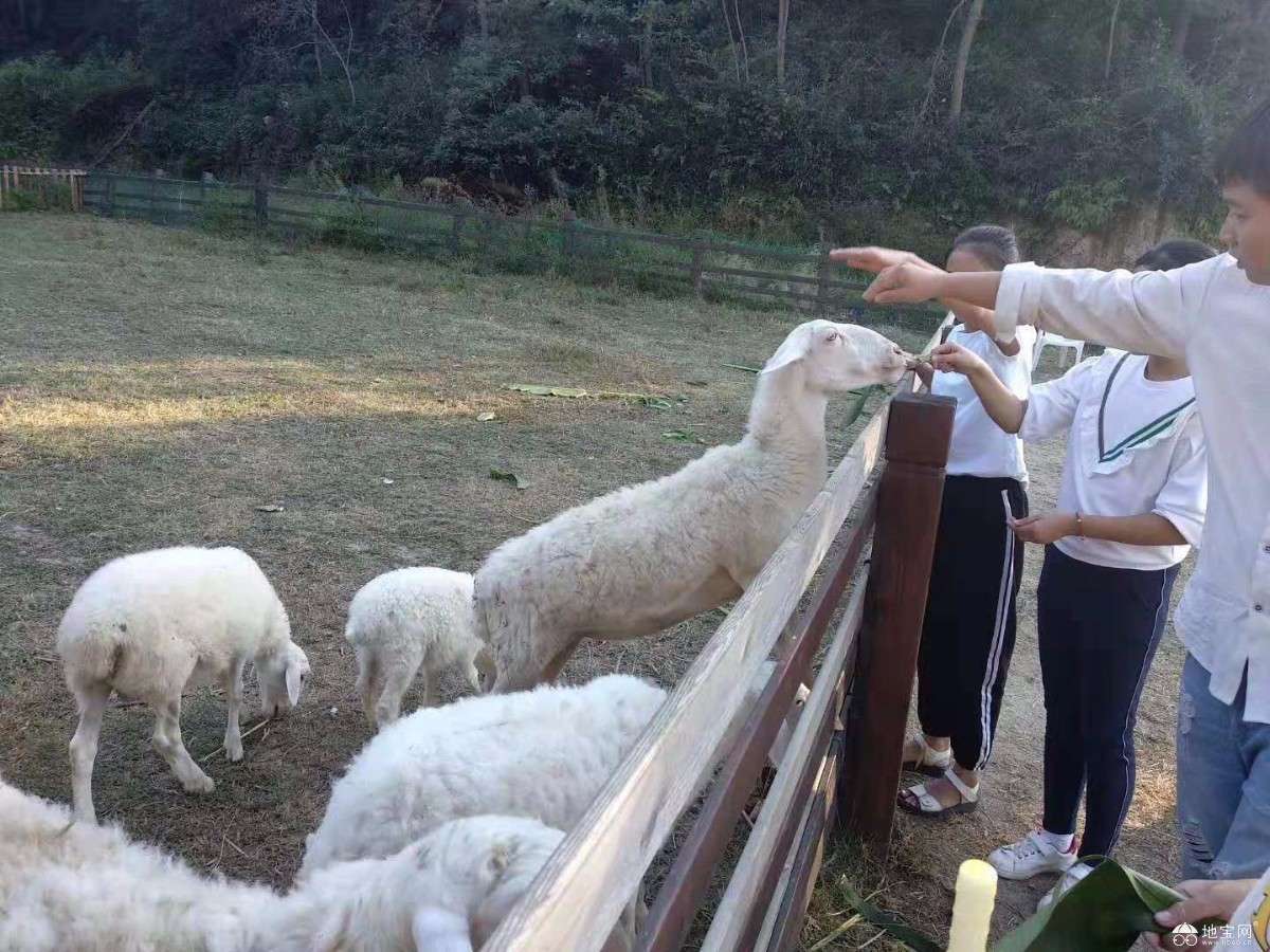 点击放大