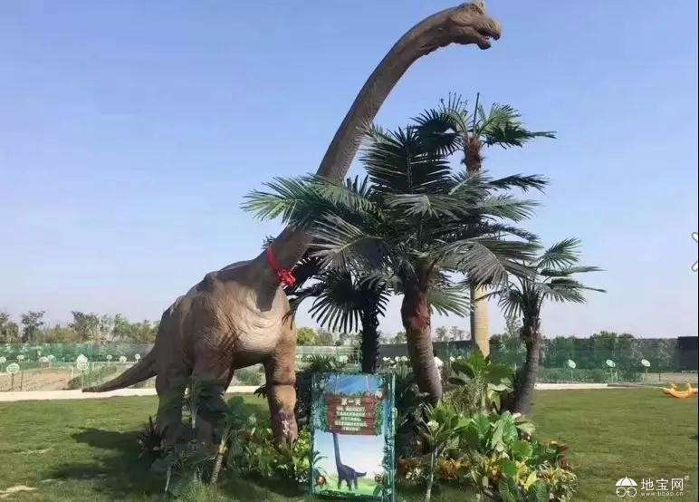 点击放大