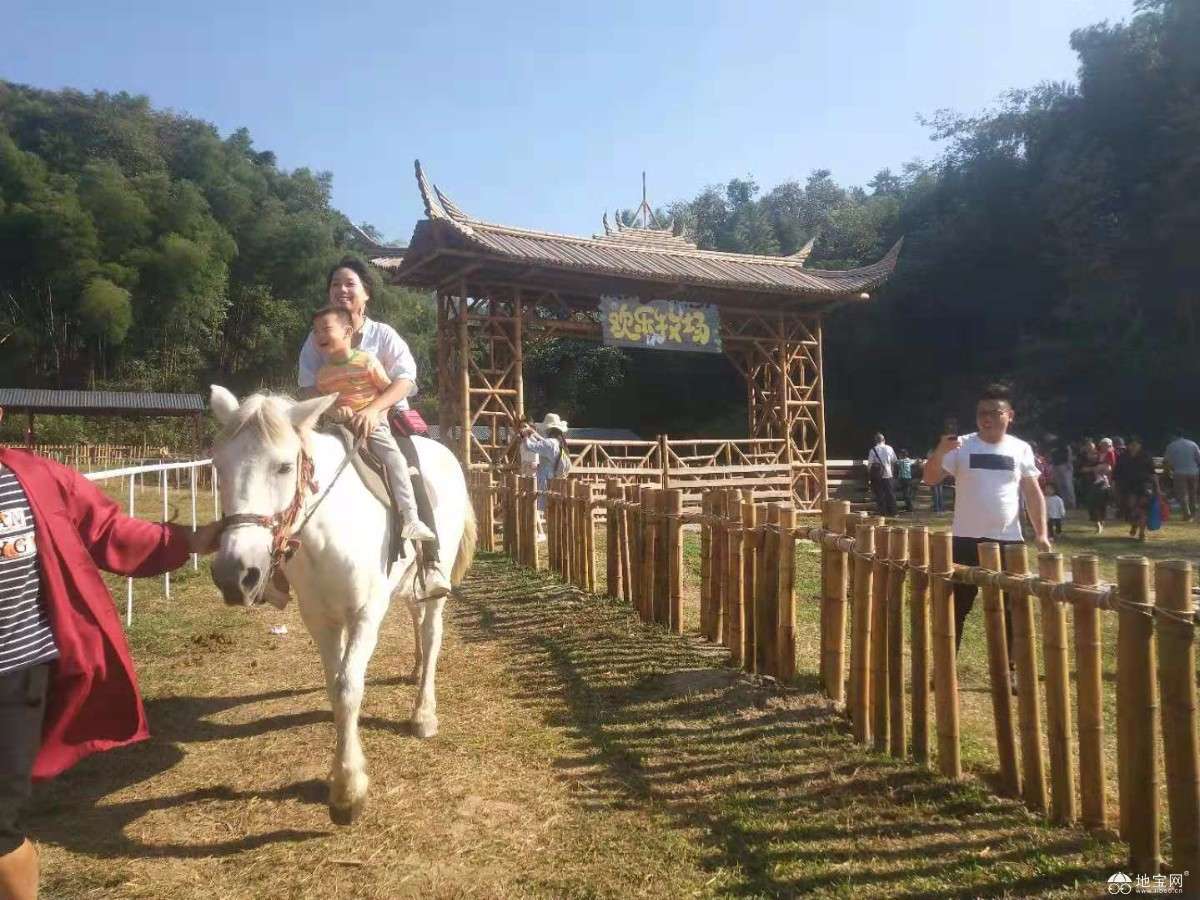 点击放大