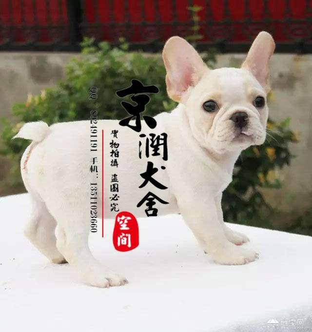 点击放大