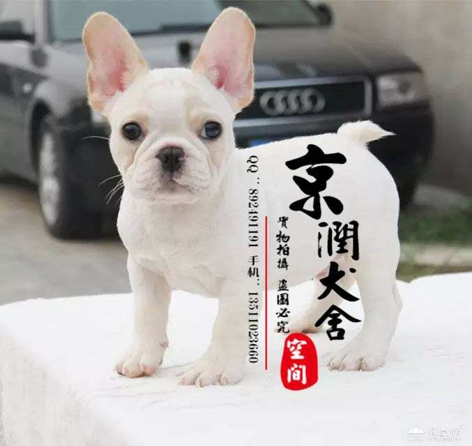 点击放大