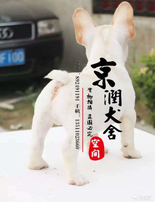 点击放大