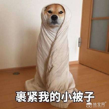 点击放大