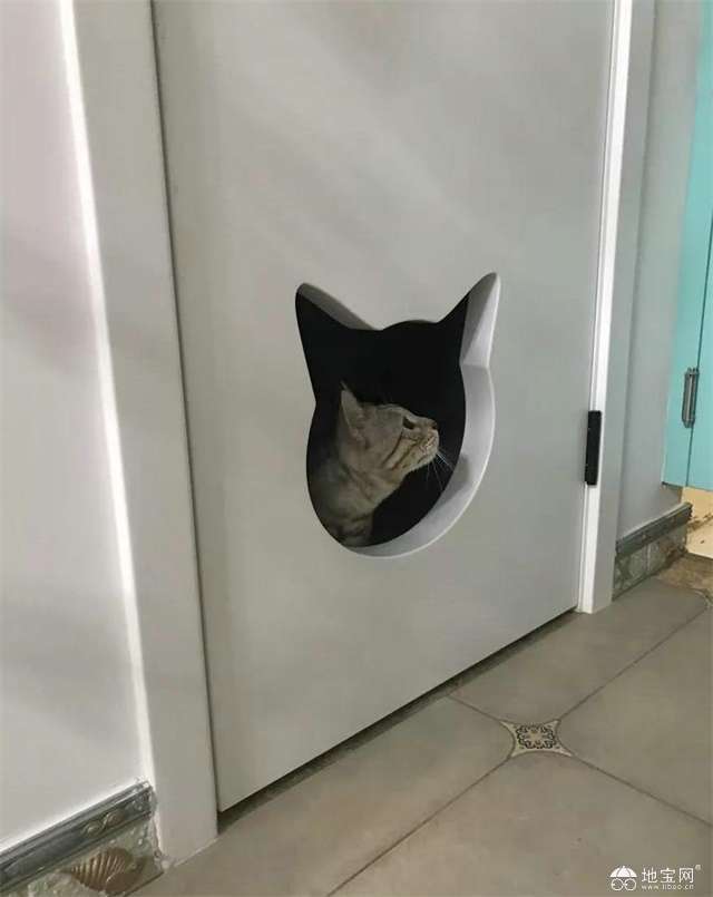 点击放大