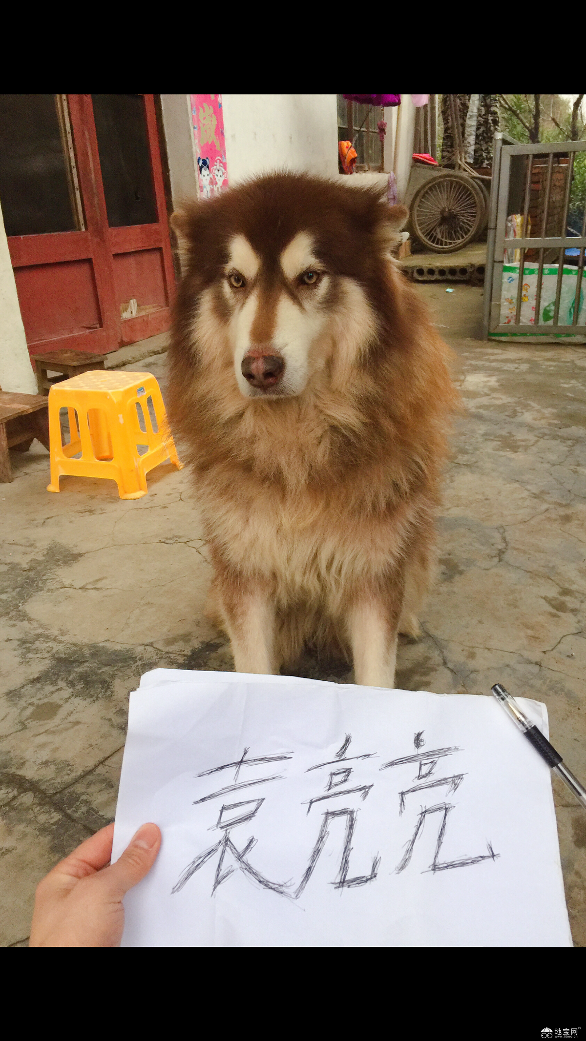 点击放大