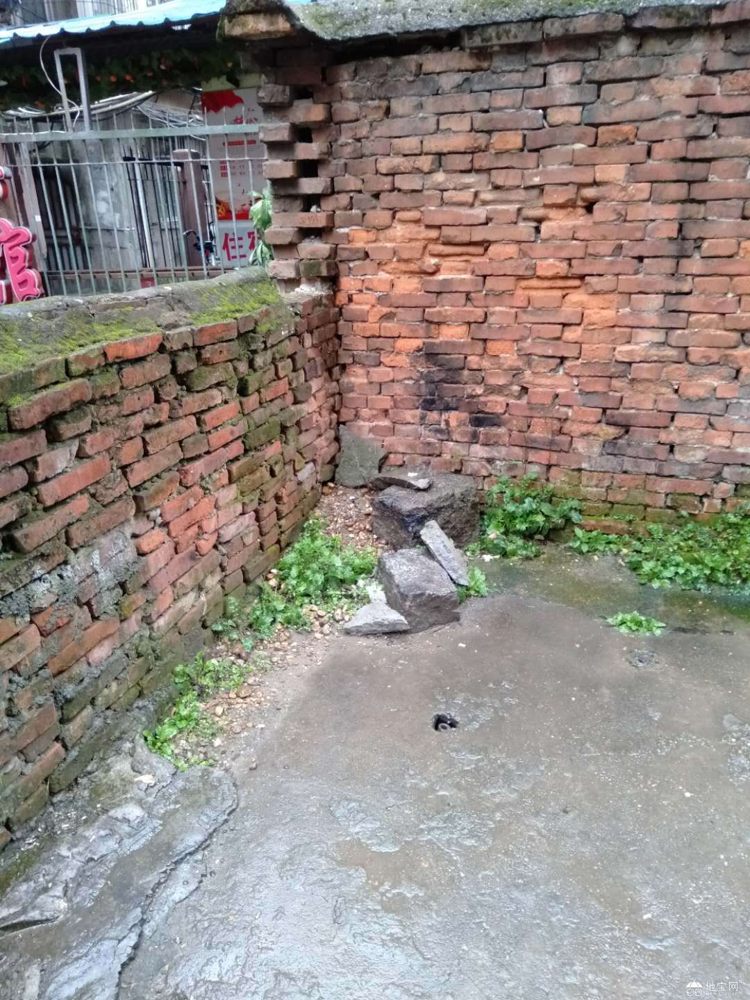 点击放大