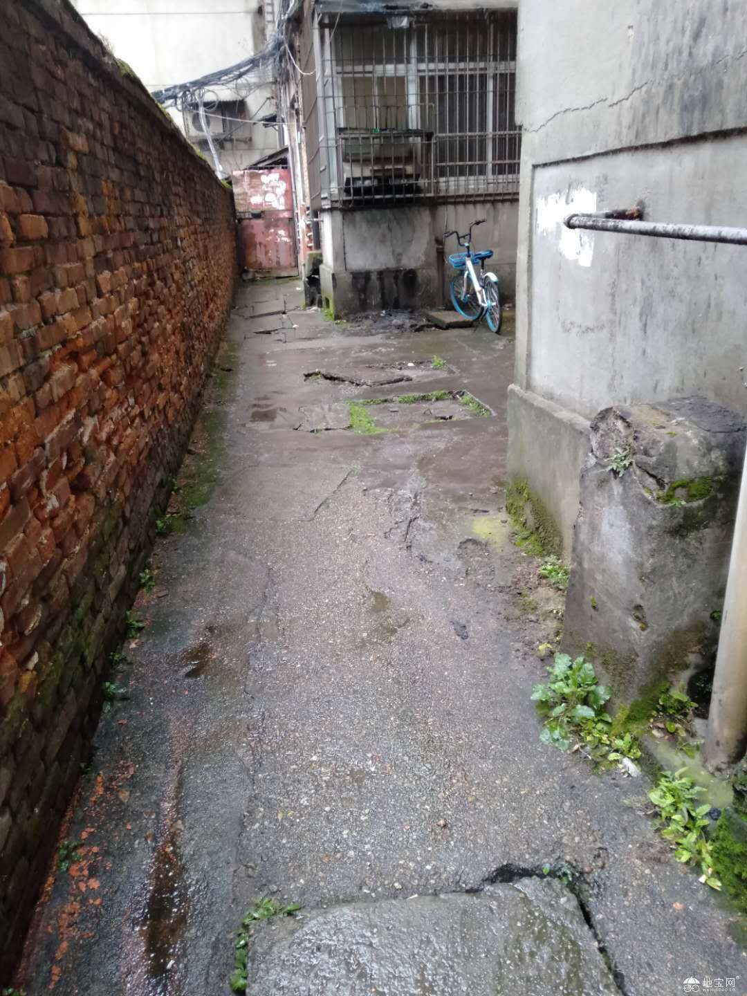 点击放大