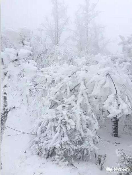 点击放大