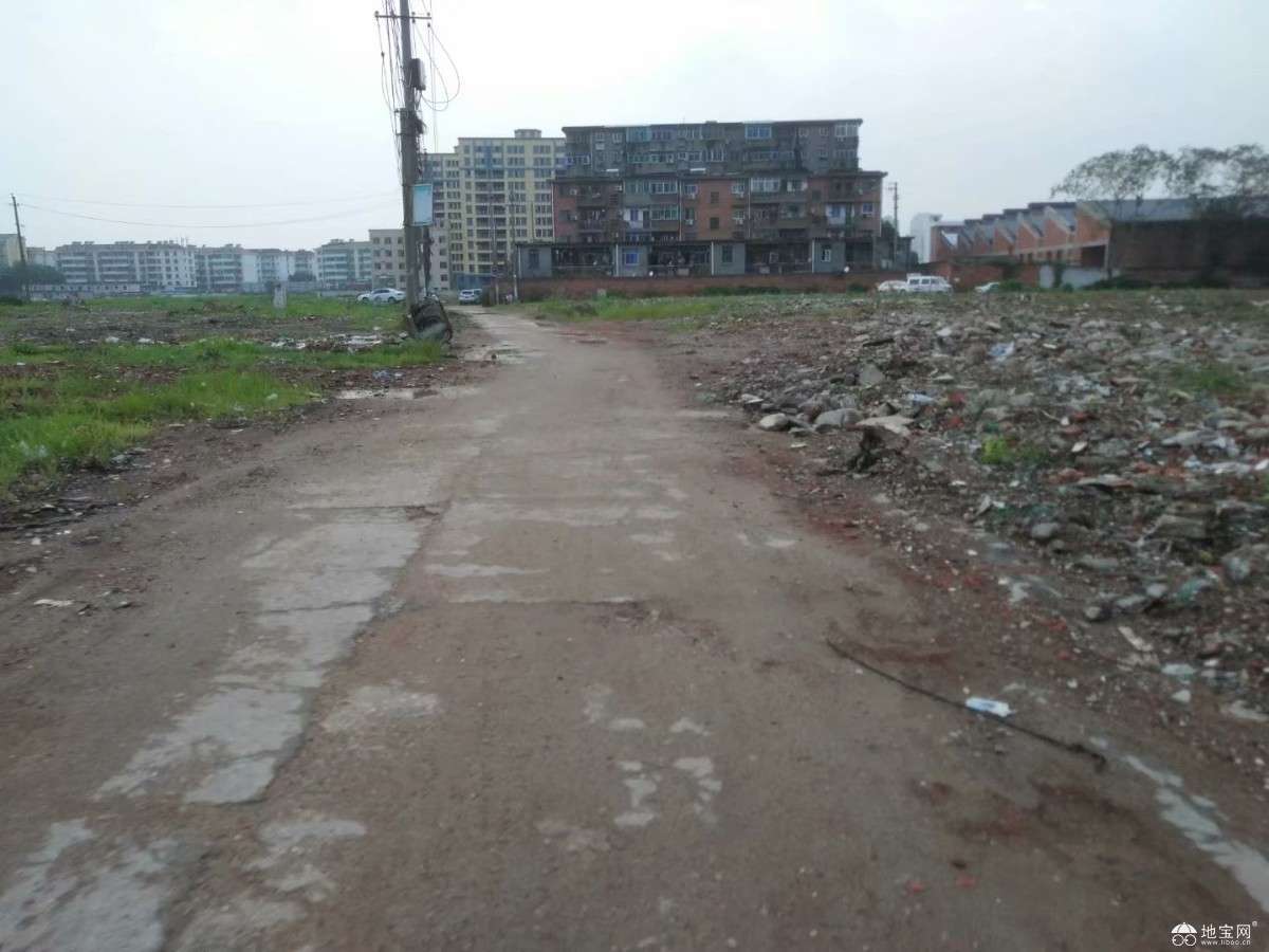 点击放大