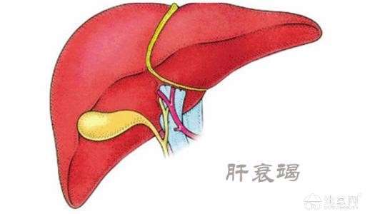 點擊放大