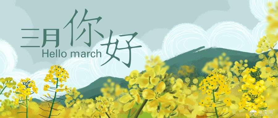 点击放大