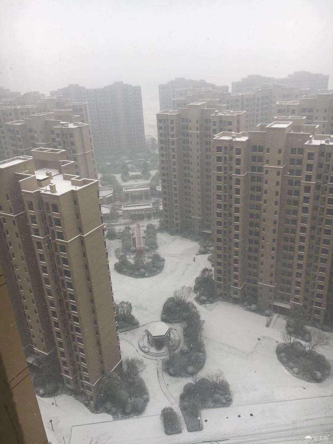 点击放大