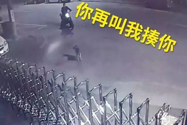 点击放大