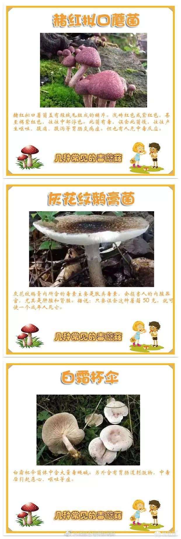 点击放大