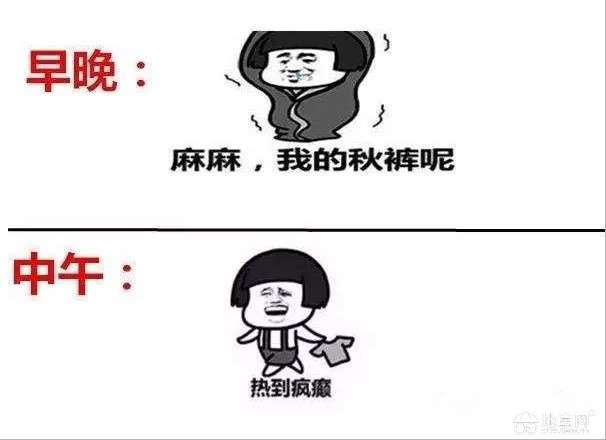 点击放大