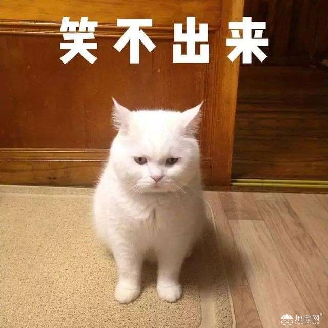 点击放大
