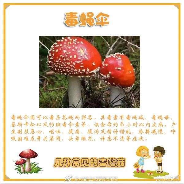 点击放大