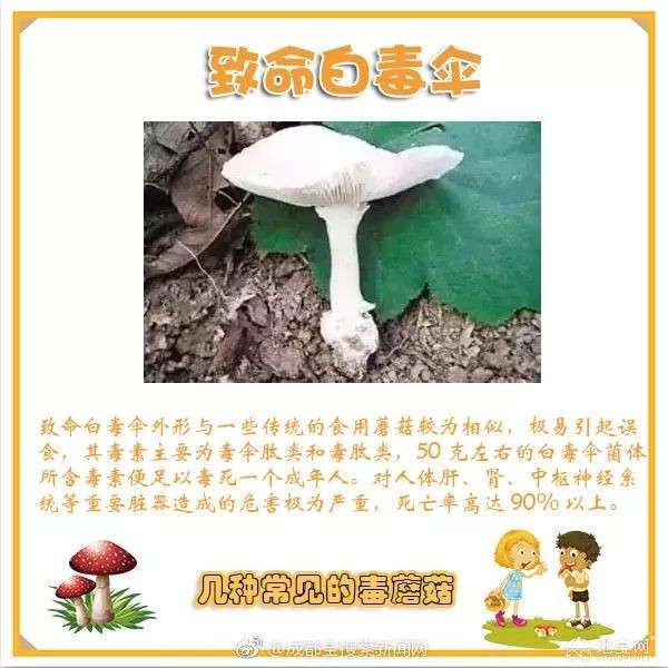 点击放大