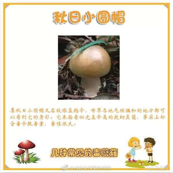 点击放大