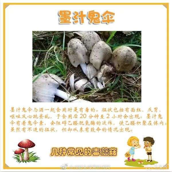 点击放大