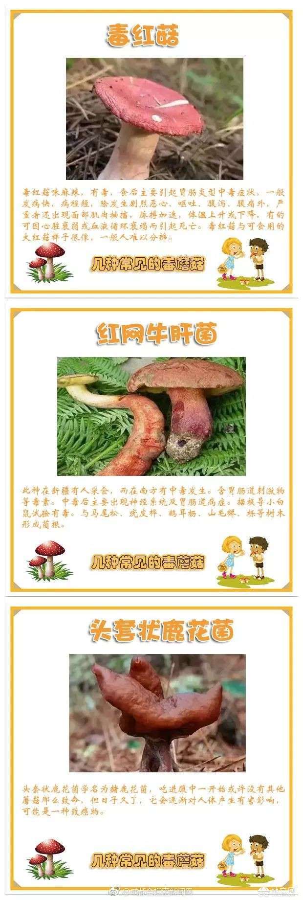 点击放大