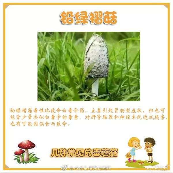 点击放大