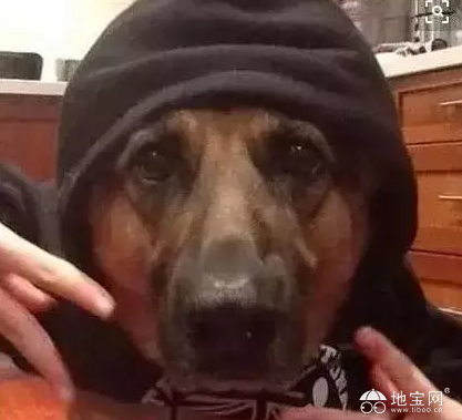 点击放大