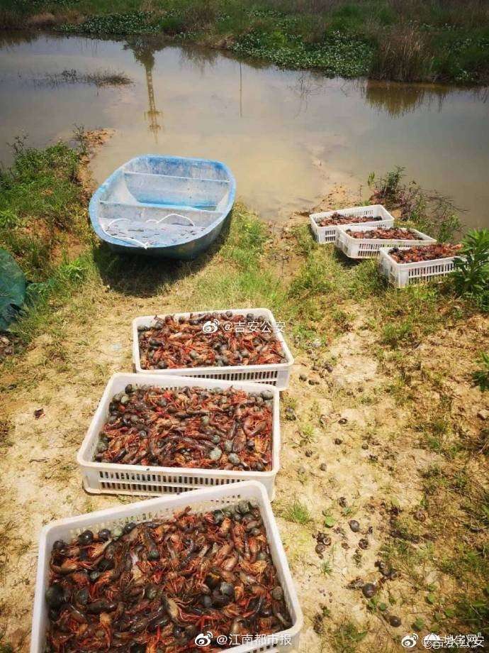 点击放大