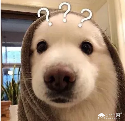 点击放大