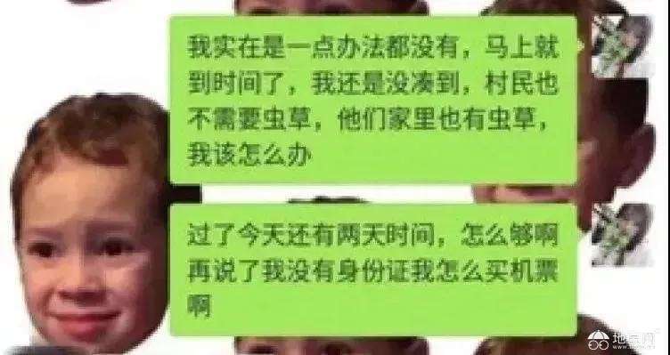 点击放大