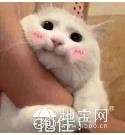 点击放大