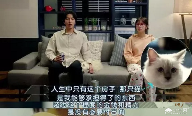 点击放大