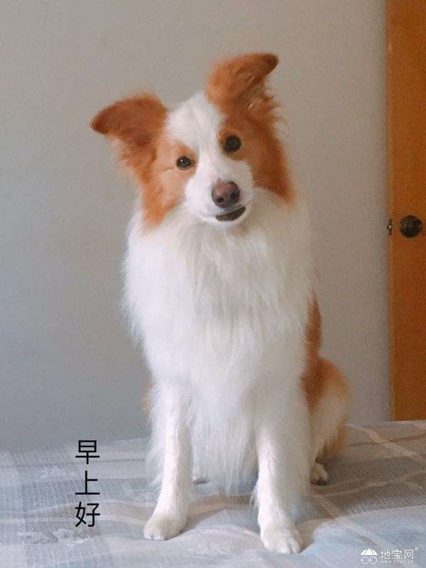 点击放大