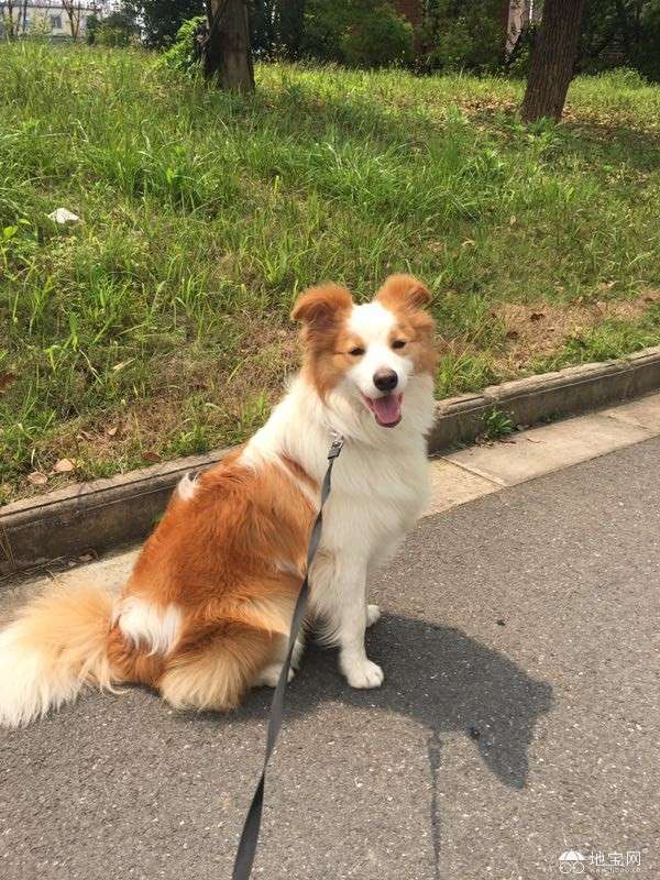 点击放大