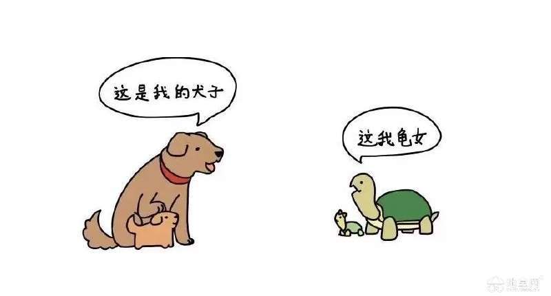 点击放大