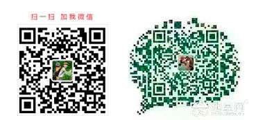 点击放大