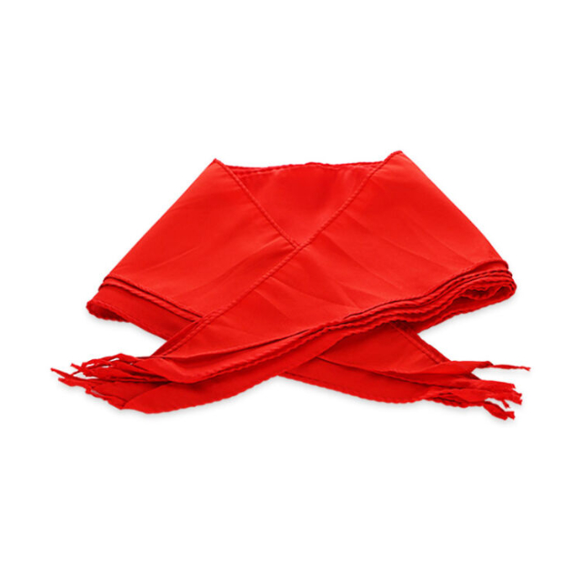 小学生红领巾1元2条超低价出售_1