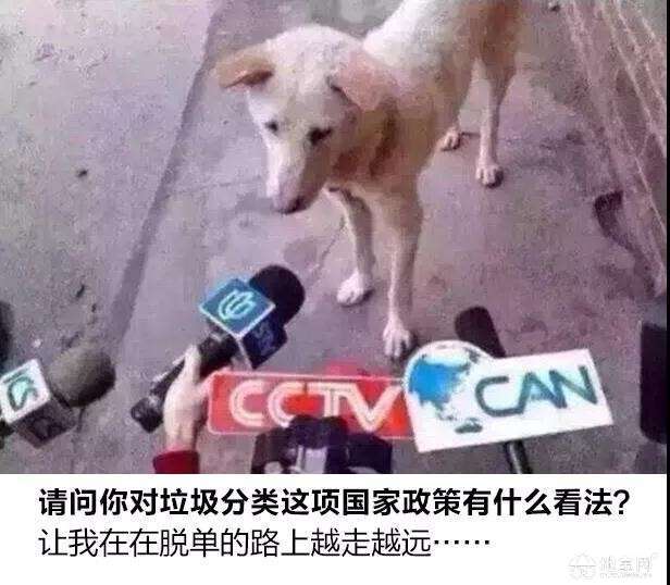 点击放大