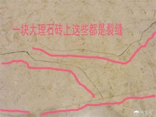光泽人口_光泽苔藓图片(3)