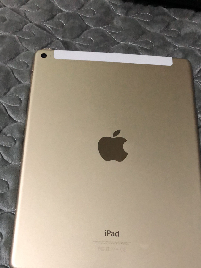 插卡版金色64g iPad Air2_1