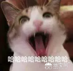 点击放大