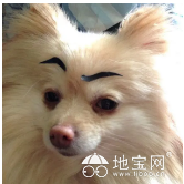 点击放大