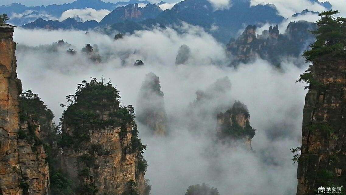 点击放大