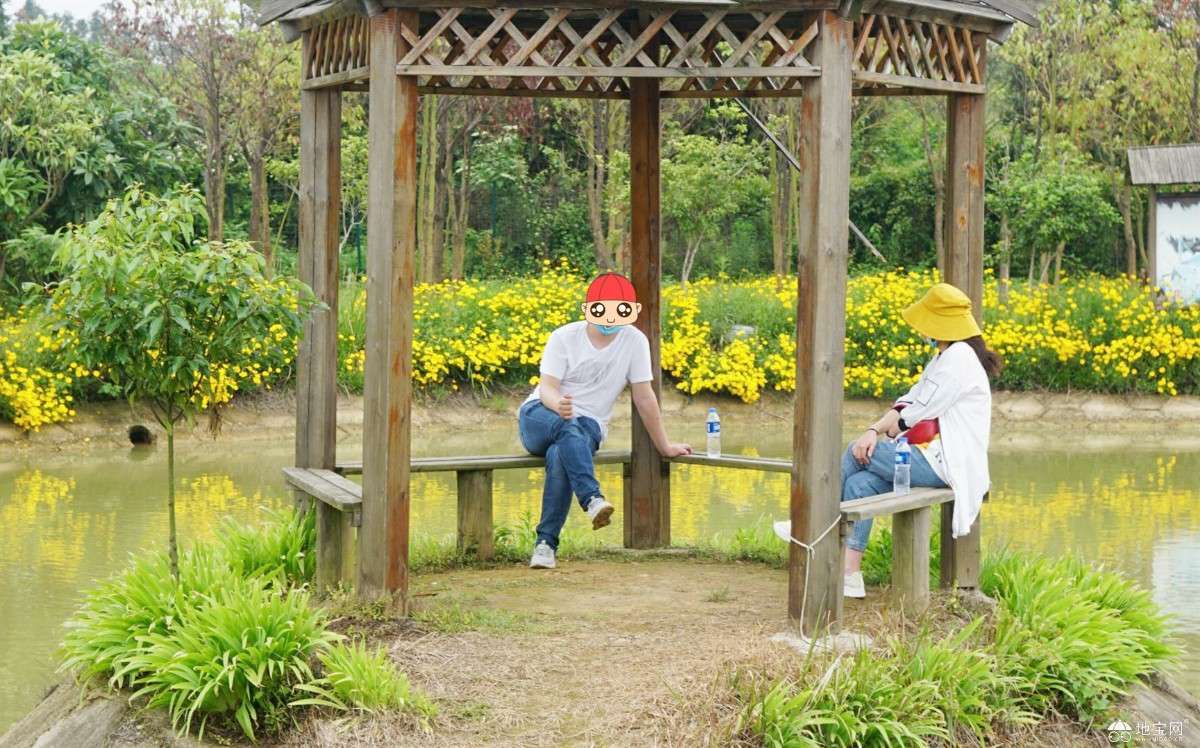 点击放大