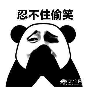 点击放大