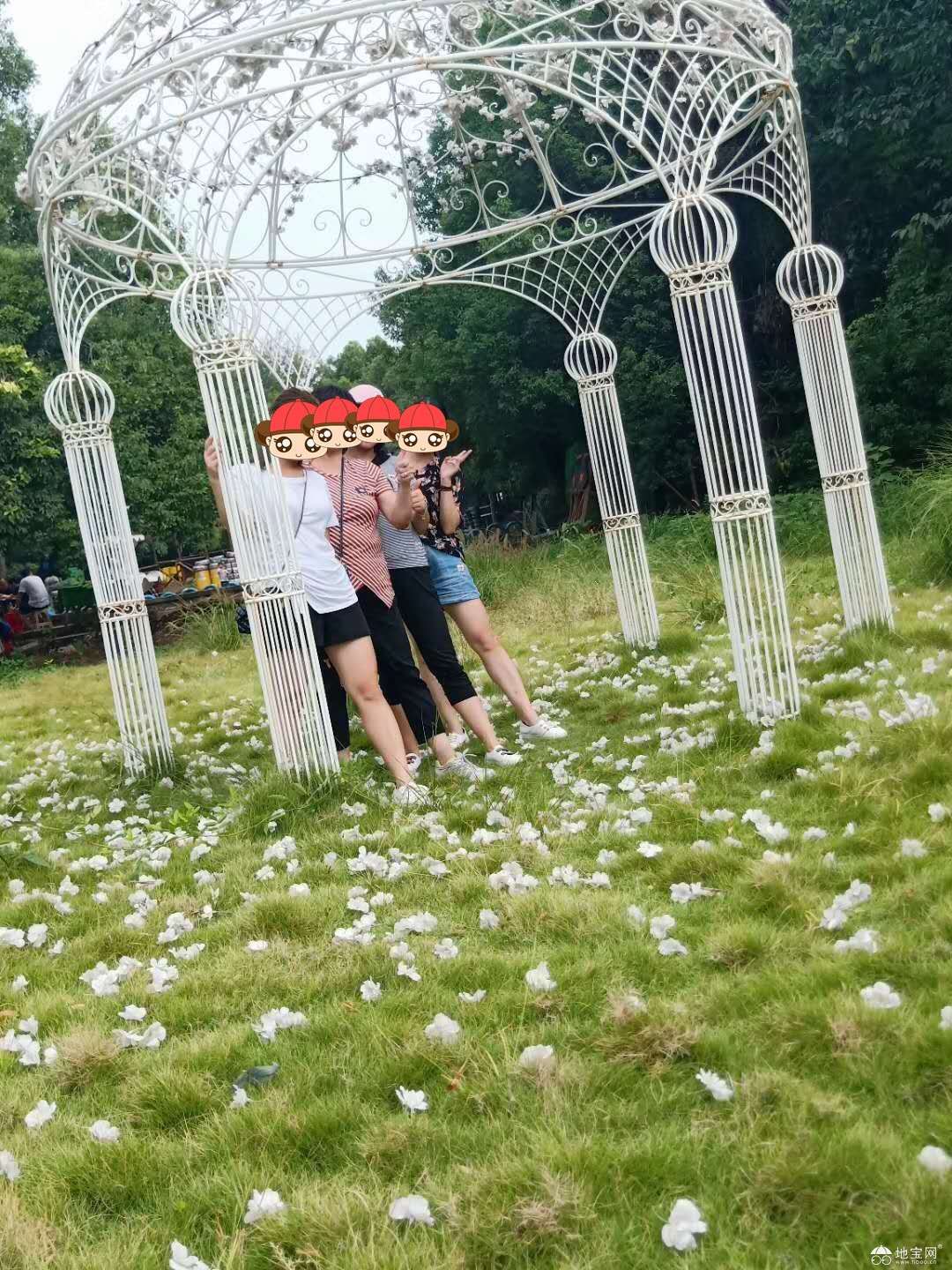 点击放大